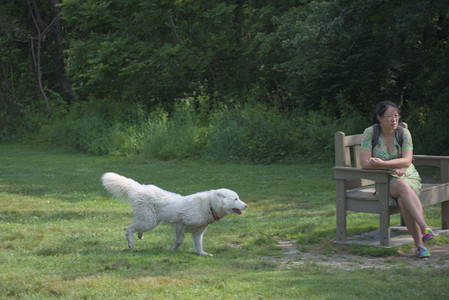 20250620_Dog park__DSC0968_.jpg