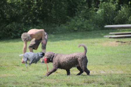 20250621_Dog Park__DSC0034_.jpg
