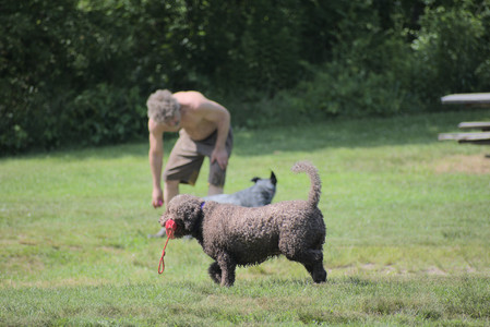 20250621_Dog Park__DSC0035_.jpg