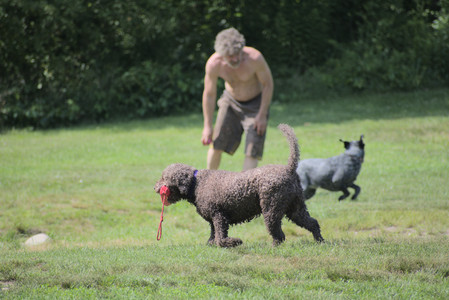 20250621_Dog Park__DSC0036_.jpg