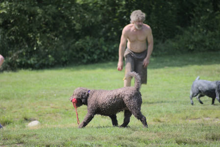 20250621_Dog Park__DSC0037_.jpg