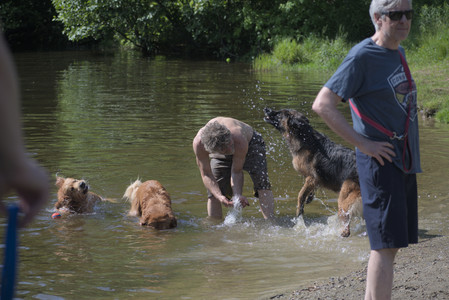 20250621_Dog Park__DSC0088_.jpg