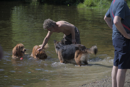 20250621_Dog Park__DSC0091_.jpg