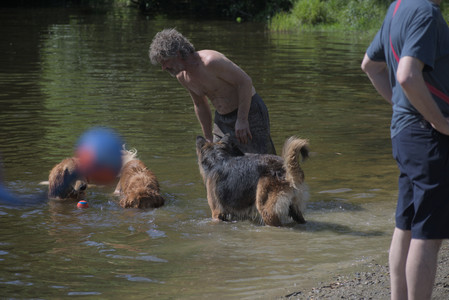 20250621_Dog Park__DSC0093_.jpg