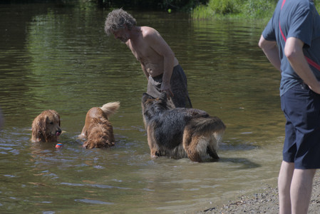20250621_Dog Park__DSC0094_.jpg