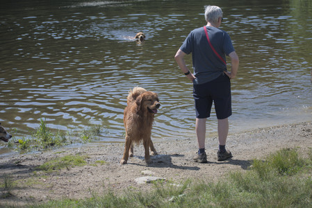 20250621_Dog Park__DSC0095_.jpg