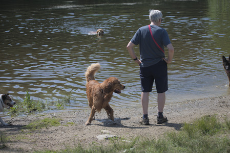 20250621_Dog Park__DSC0096_.jpg