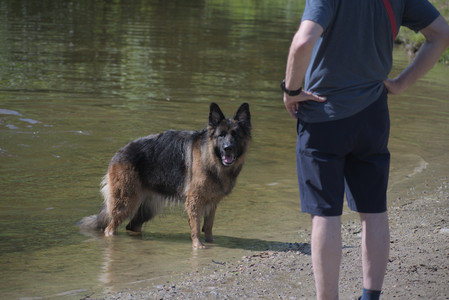 20250621_Dog Park__DSC0099_.jpg