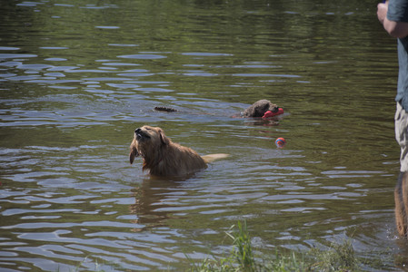20250621_Dog Park__DSC0124_.jpg
