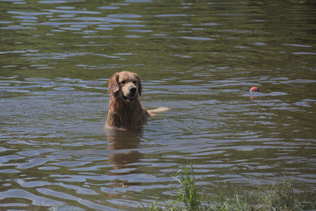 20250621_Dog Park__DSC0130_.jpg