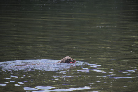 20250621_Dog Park__DSC0181_.jpg