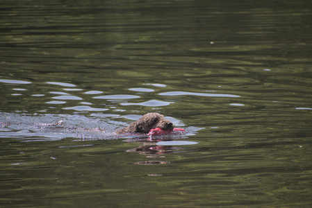 20250621_Dog Park__DSC0186_.jpg