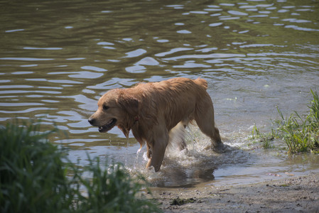 20250621_Dog Park__DSC0200_.jpg