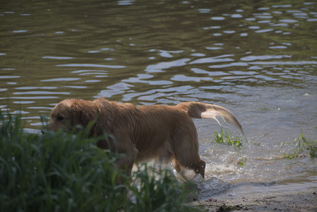 20250621_Dog Park__DSC0202_.jpg