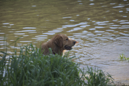 20250621_Dog Park__DSC0204_.jpg