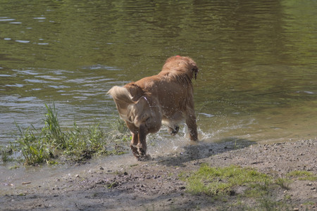 20250621_Dog Park__DSC0206_.jpg