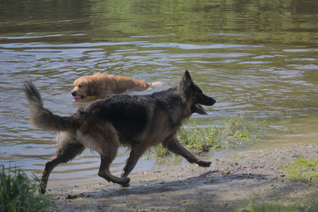 20250621_Dog Park__DSC0213_.jpg