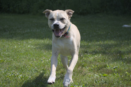 20250621_Dog Park__DSC0278_.jpg