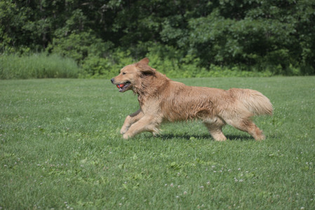 20250621_Dog Park__DSC0343_.jpg
