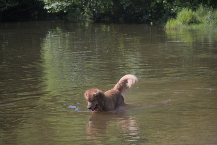 20250621_Dog Park__DSC0361_.jpg