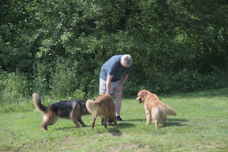 20250621_Dog Park__DSC0369_.jpg