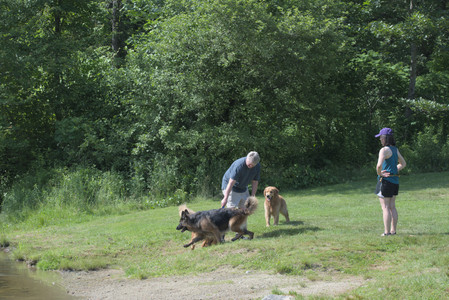 20250621_Dog Park__DSC0379_.jpg