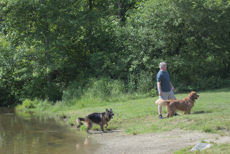 20250621_Dog Park__DSC0385_.jpg