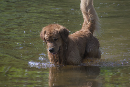 20250621_Dog Park__DSC0394_.jpg