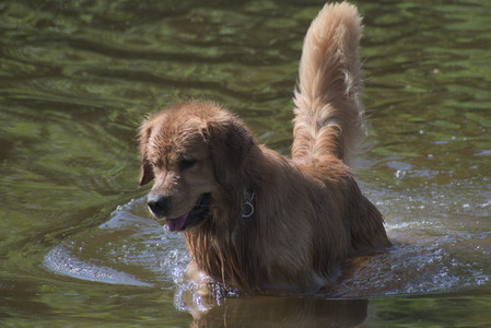 20250621_Dog Park__DSC0397_.jpg