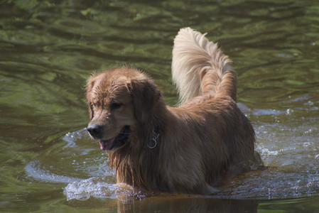 20250621_Dog Park__DSC0398_.jpg