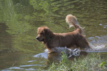 20250621_Dog Park__DSC0399_.jpg