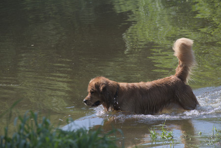 20250621_Dog Park__DSC0403_.jpg