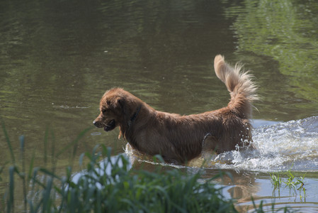 20250621_Dog Park__DSC0405_.jpg