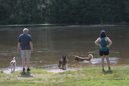 20250621_Dog Park__DSC0407_.jpg