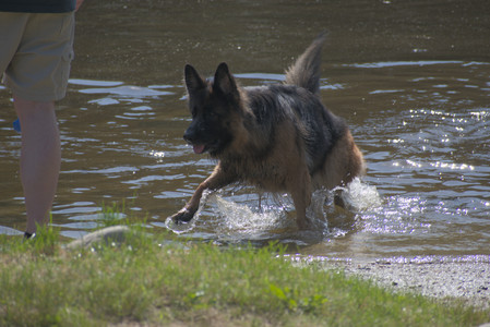 20250621_Dog Park__DSC0414_.jpg