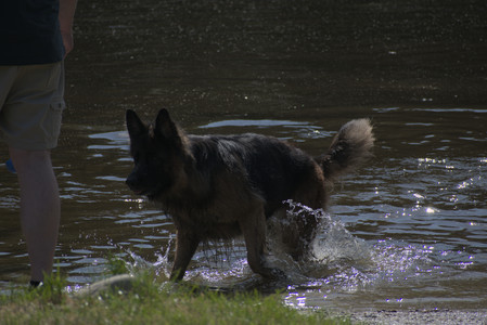 20250621_Dog Park__DSC0415_.jpg