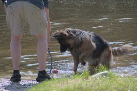 20250621_Dog Park__DSC0422_.jpg