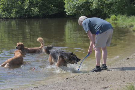 20250621_Dog Park__DSC0442_.jpg