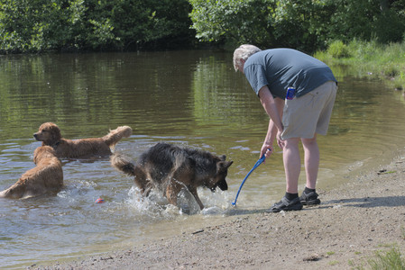 20250621_Dog Park__DSC0443_.jpg