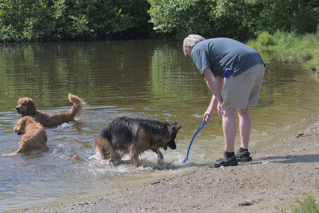 20250621_Dog Park__DSC0444_.jpg