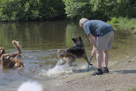 20250621_Dog Park__DSC0445_.jpg