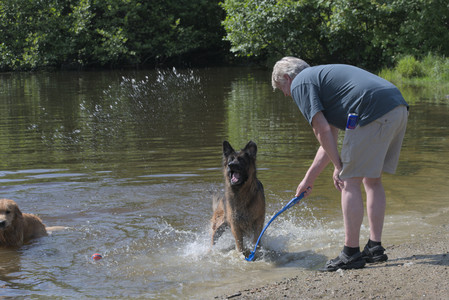 20250621_Dog Park__DSC0449_.jpg