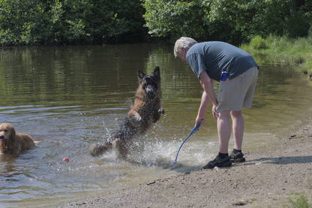 20250621_Dog Park__DSC0450_.jpg