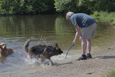 20250621_Dog Park__DSC0452_.jpg