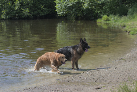20250621_Dog Park__DSC0460_.jpg