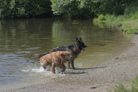 20250621_Dog Park__DSC0461_.jpg