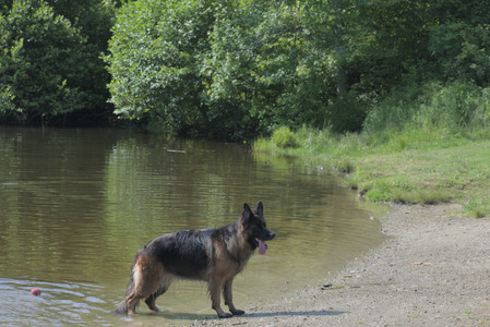 20250621_Dog Park__DSC0466_.jpg