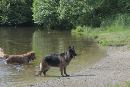 20250621_Dog Park__DSC0472_.jpg