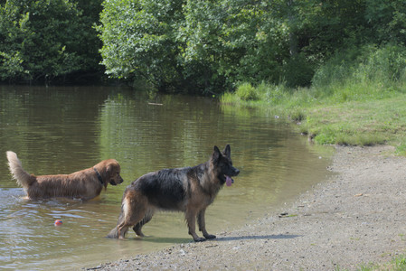 20250621_Dog Park__DSC0473_.jpg