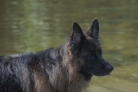 20250621_Dog Park__DSC0474_.jpg